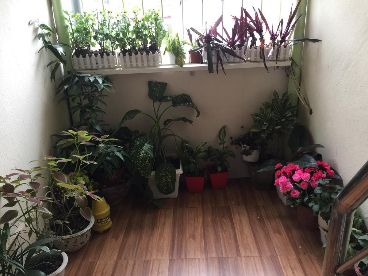 Cozy Homestay Hanoi Kültér fotó